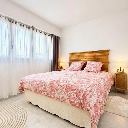 Cozy 1-bedroom With Terrace In Quiet Apartment Cannes